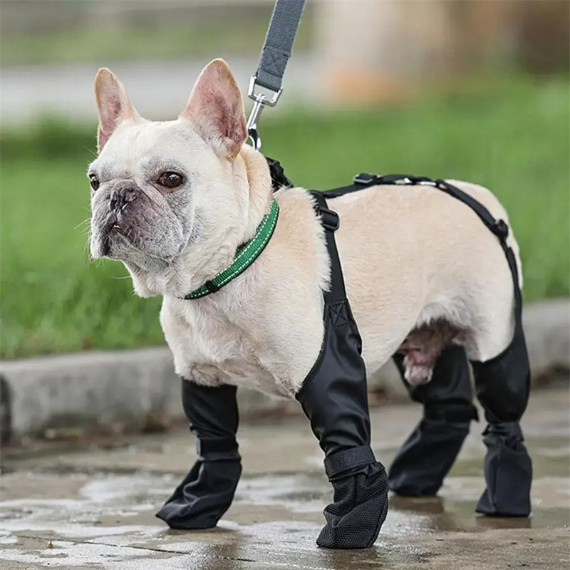 FlexiShop-Robuste Hundestiefel für sichere Spaziergänge.