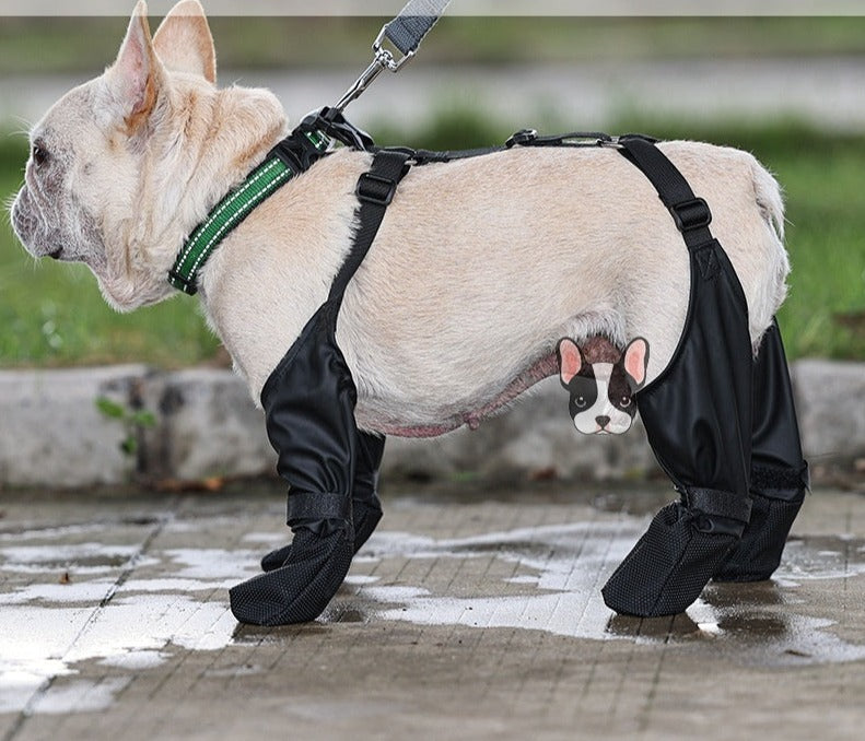 FlexiShop-Robuste Hundestiefel für sichere Spaziergänge.