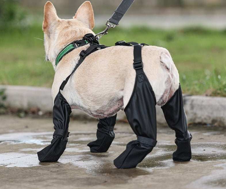 FlexiShop-Robuste Hundestiefel für sichere Spaziergänge.