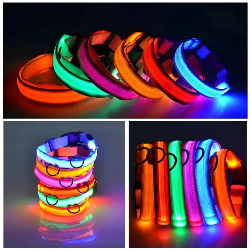 FlexiShop USB-Lade-LED-Hundehalsband