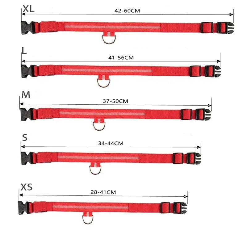 FlexiShop USB-Lade-LED-Hundehalsband